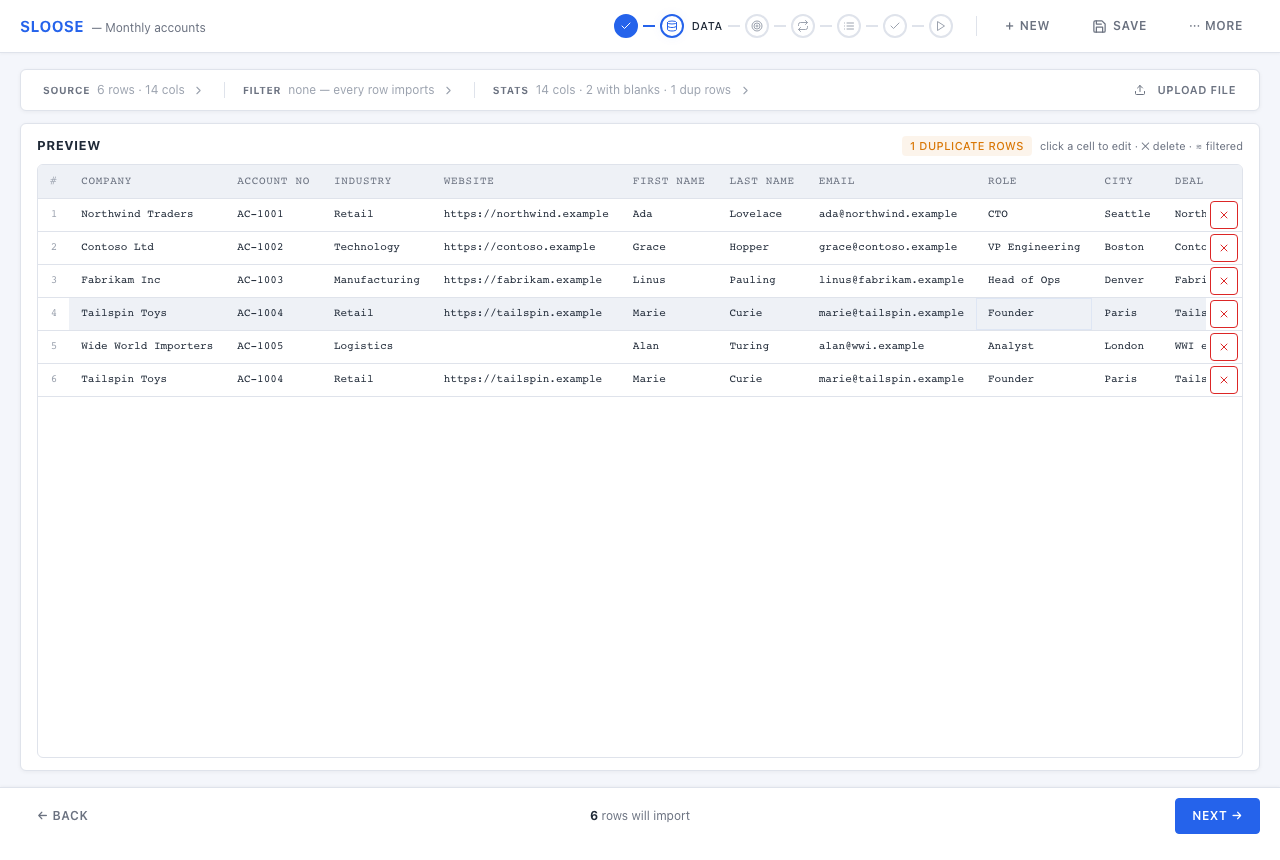 A loaded file: row and column counts, duplicate detection, and what will import.