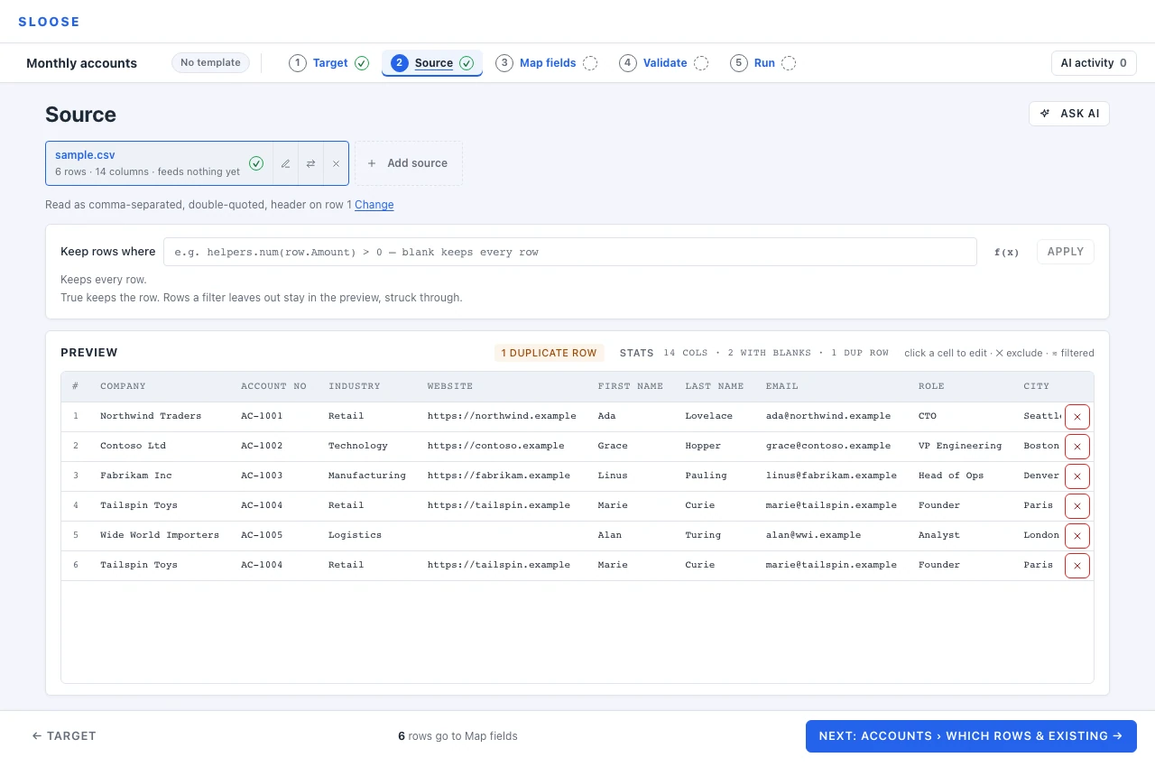 A loaded file: row and column counts, duplicate detection, and what will import.